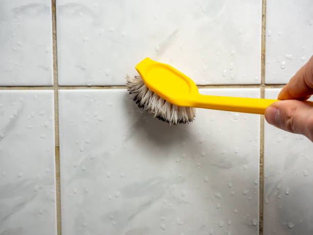 Best Office Mold Removal Services  in Fair Lawn, NJ