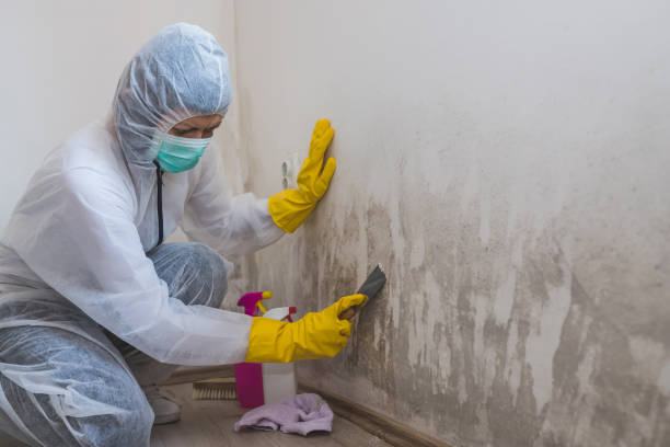 Best Crawl Space Mold Removal  in Fair Lawn, NJ
